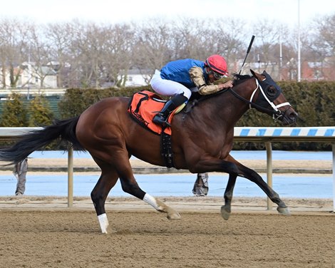 Flood Zone wins the 2025 Gotham Stakes at Aqueduct Racetrack