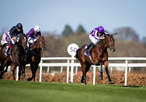 Delacroix and Ryan Moore winners of the Gr.3 P.W. McGrath Memorial Ballysax Stakes.<br>
Leopardstown.<br>
Photo: Patrick McCann/Racing Post<br>
30.03.2025