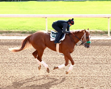 American Promise - Gallop - Oaklawn Park - 03-21-25