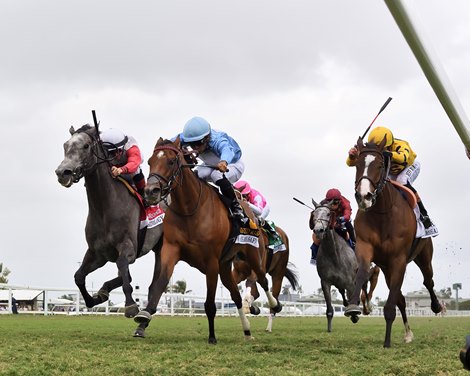 Beach Bomb wins the 2025 Orchid Stakes at Gulfstream Park