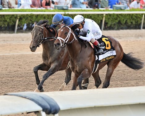 Sovereignty wins the 2025 Fountain of Youth Stakes at Gulfstream Park