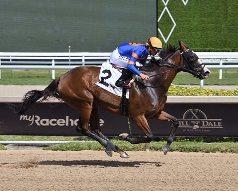 Literate, AOC, Gulfstream Park, March 13 2025