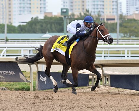 Five G wins the 2025 Gulfstream Park Oaks at Gulfstream Park Five G wins the 2025 Gulfstream Park Oaks at Gulfstream Park