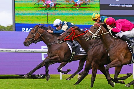 Gringotts wins the 2025 George Ryder Stakes at Rosehill Gardens Racecourse<br>
ridden by Tommy Berry and trained by Ciaron Maher