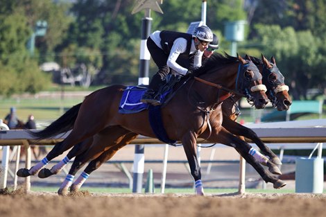 Baeza (outside) works at Santa Anita, April 20, 2025 Baeza (outside) works at Santa Anita, April 20, 2025