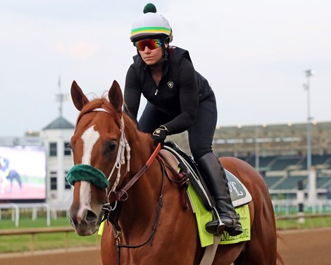 American Promise on the track at Churchill Downs on April 29, 2025. Photo By: Chad B. Harmon American Promise on the track at Churchill Downs on April 29, 2025. Photo By: Chad B. Harmon