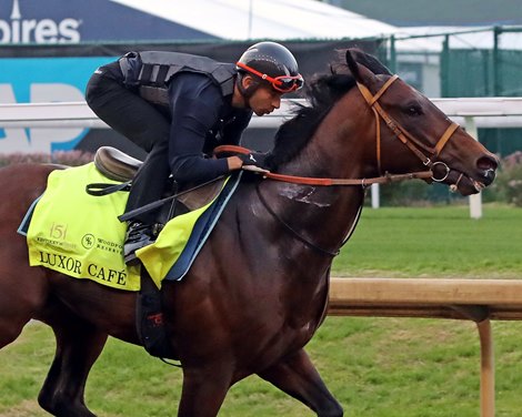 Luxor Cafe works five furlongs in 1:02.40 at Churchill Downs on April 29, 2025. Photo By: Chad B. Harmon Luxor Cafe works five furlongs in 1:02.40 at Churchill Downs on April 29, 2025. Photo By: Chad B. Harmon