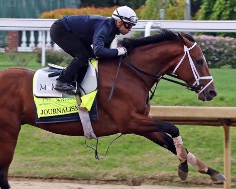 Journalism with Umberto Rispoli work five furlongs in 1:01.40 at Churchill Downs on April 27, 2025. Photo By: Chad B. Harmon