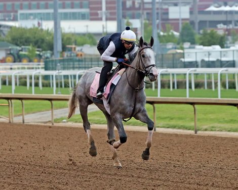 Ballerina d'Oro on the track at Churchill Downs on April 29, 2025. Photo By: Chad B. Harmon