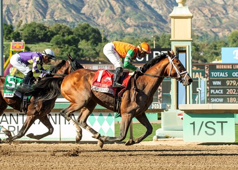 Journalism and jockey Umberto Rispoli win the Grade I $500,000 Santa Anita Derby Saturday, April 5, 2025, at Santa Anita Park, Arcadia, CA.  Benoit Photo
