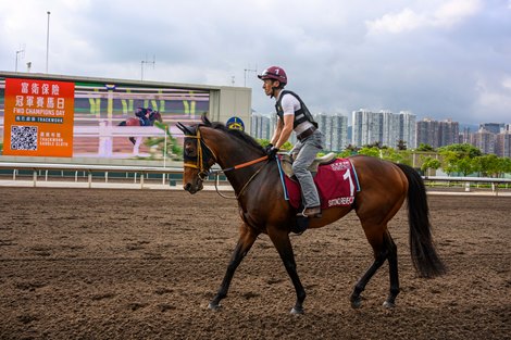 Global matchups take off at the Champions Day in Hong Kong