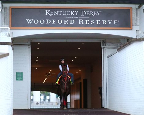 Coal Battle - Paddock - Churchill Downs - 04-21-25