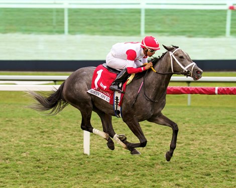 Special WAN sets visor on Distaffe Turf Mile