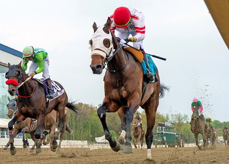 Pay Billy wins the 2025 Federico Tesio Stakes at Laurel Park Pay Billy wins the 2025 Federico Tesio Stakes at Laurel Park