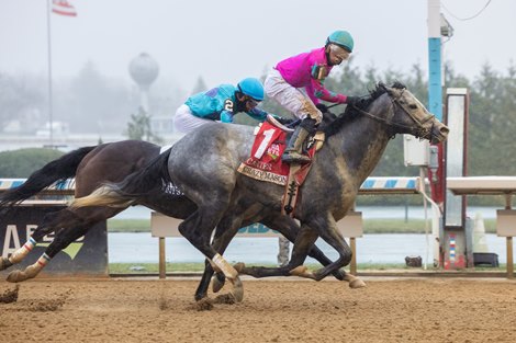 Crazy Mason wins the 2025 Carter Stakes at Aqueduct Racetrack