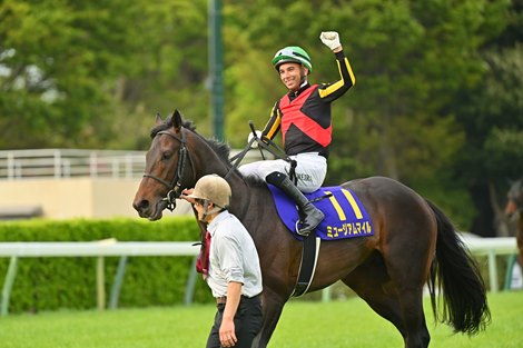 Museum Mile wins the 2025 Satsuki Sho at Nakayama Race Course ridden by Joao Moreira, trained by Daisuke Takayanagi, and owned by Sunday Racing Museum Mile wins the 2025 Satsuki Sho at Nakayama Race Course ridden by Joao Moreira, trained by Daisuke Takayanagi, and owned by Sunday Racing