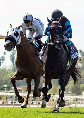 Cabo Spirit and jockey Mike Smith, right, outleg King of Gosford (Flavien Prat), left, win the Grade III, $100,000 American Stakes, Sunday, April 20, 2025 at Santa Anita Park, Arcadia CA. Cabo Spirit and jockey Mike Smith, right, outleg King of Gosford (Flavien Prat), left, win the Grade III, $100,000 American Stakes, Sunday, April 20, 2025 at Santa Anita Park, Arcadia CA.