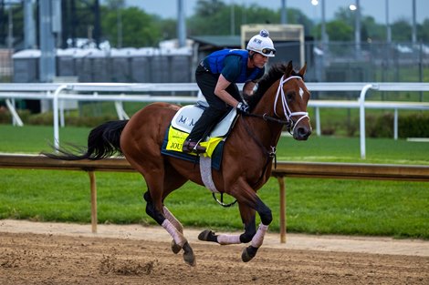 Journalism - Churchill Downs - 042525 Journalism - Churchill Downs - 042525
