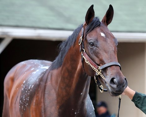 Baeza getting a bath at Churchill Downs on April 28, 2025. Photo By: Chad B. Harmon Baeza getting a bath at Churchill Downs on April 28, 2025. Photo By: Chad B. Harmon