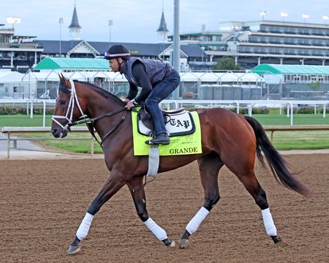 Grande on the track at Churchill Downs on April 28, 2025. Photo By: Chad B. Harmon