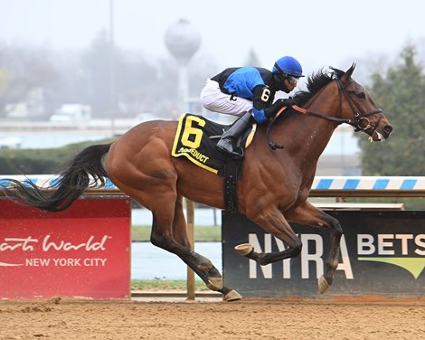 Phileas Fogg wins the 2025 Excelsior Stakes at Aqueduct Racetrack