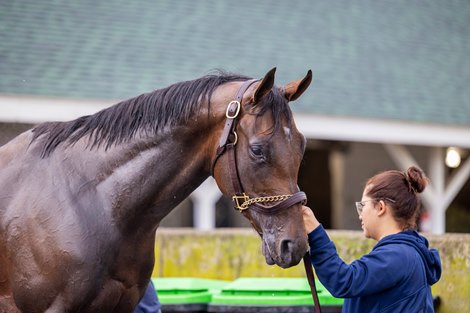 Thorpedo Anna - Churchill Downs - 042525