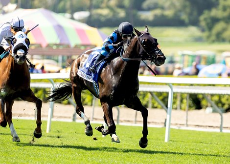 Cabo Spirit and jockey Mike Smith win the Grade III, $100,000 American Stakes, Sunday, April 20, 2025 at Santa Anita Park, Arcadia CA. Cabo Spirit and jockey Mike Smith win the Grade III, $100,000 American Stakes, Sunday, April 20, 2025 at Santa Anita Park, Arcadia CA.