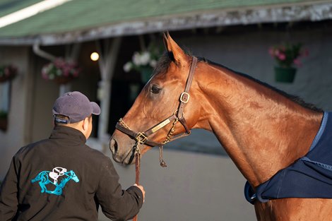 Journalism  , Kentucky Derby 2025, Churchill Downs, Louisville, KY, April 27, 2025, Javier Molina-Bloodhorse