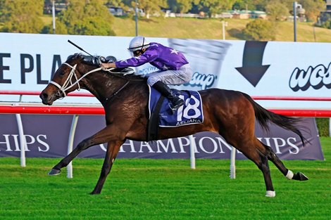Aeliana wins the 2025 Australian Derby at Royal Randwick ridden by Damien Lane and trained by Chris Waller