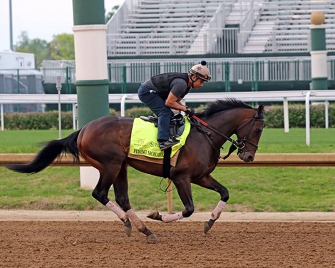 Flying Mohawk on the track at Churchill Downs on April 29, 2025. Photo By: Chad B. Harmon