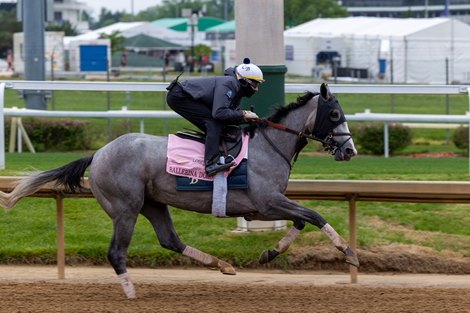 BALLERINA D'ORO_Prepping for Kentucky  Oaks at Churchill Downs in  Louisville, KY. April 26, 2025
