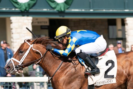 Colloquial wins the Lafyette Stakes at Keeneland Colloquial wins the Lafyette Stakes at Keeneland