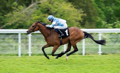 Amiloc (Richard Kingscote) wins the Cocked Hat Stakes<br>
Goodwood 24.5.25 Pic: Edward Whitaker