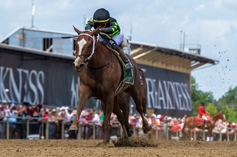 Zeitlos and Jose Ortiz Win Race 6, Skipat Stakes, Pimlico Racecourse, Baltimore, MD May 17, 2025, Mathea Kelley-Javier Molina/Bloodhorse
