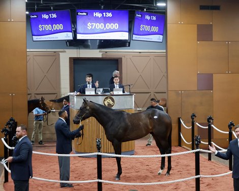 Hip 136, 2025 Fasig-Tipton 2 Year-Olds in Training Sale, Timonium, MD