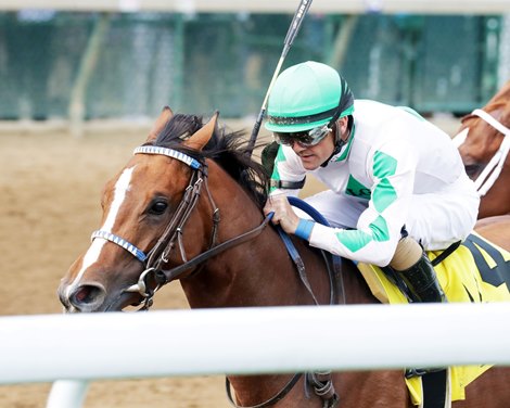 Mystik Dan wins the 2025 Blame Stakes at Churchill Downs