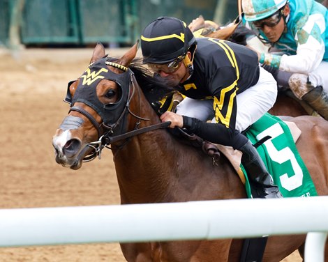 Pinky Finger - Kentucky Juvenile Stakes - CD - 050125