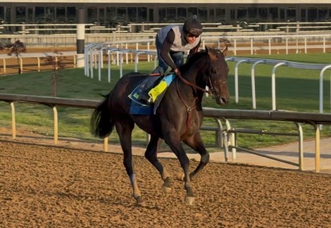 2025 Preakness Stakes contender Goal Oriented works a half-mile in :47 3/5 at Churchill Downs 2025 Preakness Stakes contender Goal Oriented works a half-mile in :47 3/5 at Churchill Downs