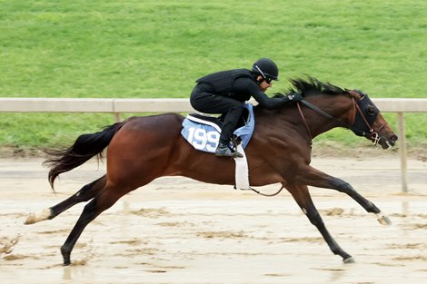 Hip 199, 1/8 in 10:1, 2025 Fasig-Tipton 2 Year-Olds in Training Sale, Timonium, MD