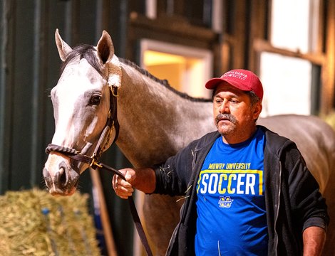 Sandman arrives at 2:30 a.m. May 13, 2025 at Pimlico ahead of the Preakness Stakes
