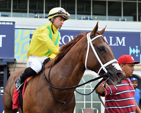Sandal's Song wins the 2025 Royal Palm Juvenile Stakes at Gulfstream Park
