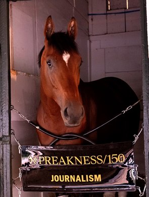 Journalism, Pimlico Race Course, May 18, 2025 Journalism, Pimlico Race Course, May 18, 2025