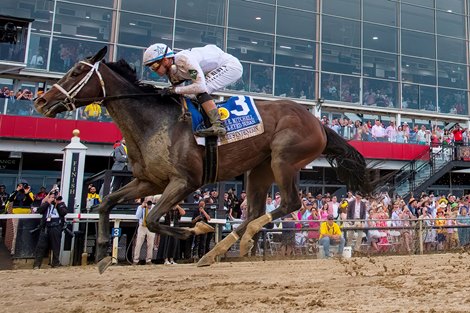 Margie's Intention and Flavian Prat Win Race 13, The G2 Black Eyed Susan Stakes, Pimlico Racecourse, Baltimore, MD May 16, 2025, Mathea Kelley/Bloodhorse