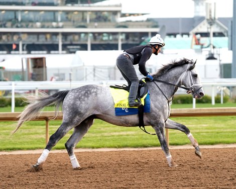 Final Gambit - Gallop - Churchill Downs - 050125