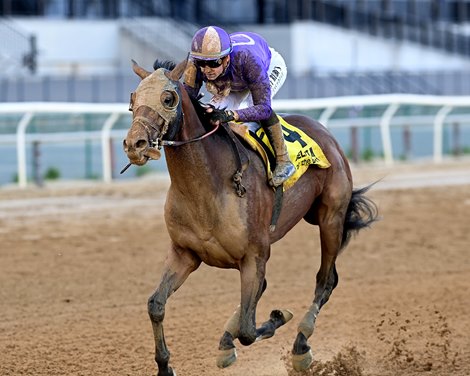 Hill Road wins the 2025 Peter Pan Stakes at Aqueduct Racetrack