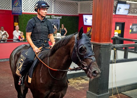Heart of honor is necessary with the start gate