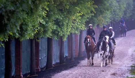 D. Wayne Lukas leads American Promise and Princess Aliyah from the track at Pimlico Race Course Thursday May 15, 2025 in Baltimore, MD..   Photo by Skip Dickstein
