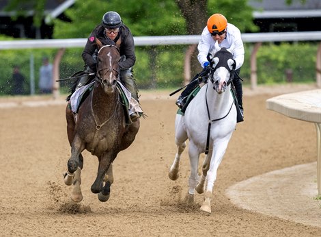 Sovereignty, with exercise rider Neil Posnansky, works in tandem with Arthur’s Ride for trainer Billy Mott on Saturday, May 24, 2025 at the Oklahoma Training Track in Saratoga Springs, N.Y. Sovereignty covered 5f in 1:02.54 while Arthur's Ride finished in 1:02.94. Photo by Skip Dickstein