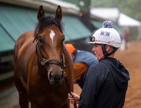 Journalism with his exercise rider gets a bath at Pimlico Race Course Thursday May 15, 2025 in Baltimore, MD.. Photo by Skip Dickstein Journalism with his exercise rider gets a bath at Pimlico Race Course Thursday May 15, 2025 in Baltimore, MD.. Photo by Skip Dickstein