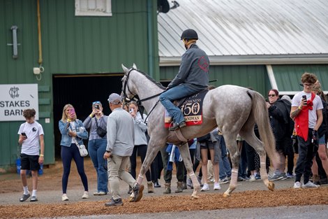 Sandman with trainer Mark Casse at his head walks to the track at Pimlico Race Course Thursday May 15, 2025 in Baltimore, MD.. Photo by Skip Dickstein Sandman with trainer Mark Casse at his head walks to the track at Pimlico Race Course Thursday May 15, 2025 in Baltimore, MD.. Photo by Skip Dickstein